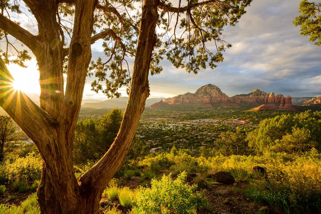 Sedona's desert sunset paints the sky in warm amber tones
