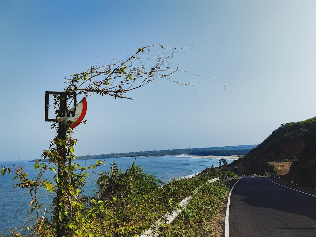 Scenic coastal road trip along the Gulf Coast