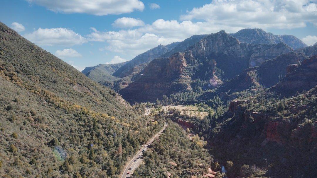 Oak Creek Canyon winds through pine forests north of Sedona