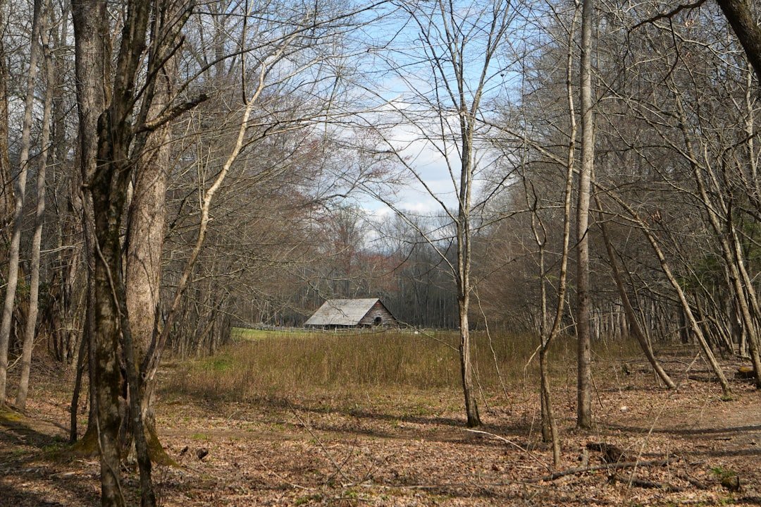 Appalachian mountain cabin in the woods