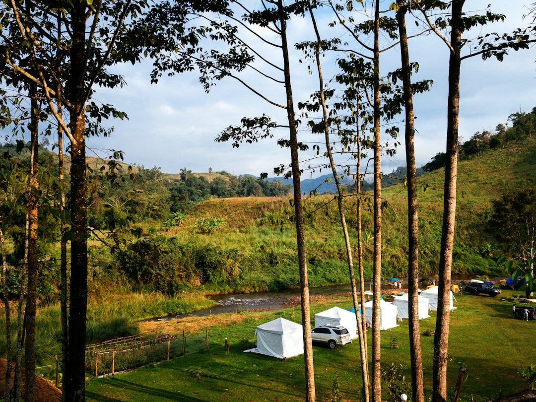 Camping tent set up near mountain river