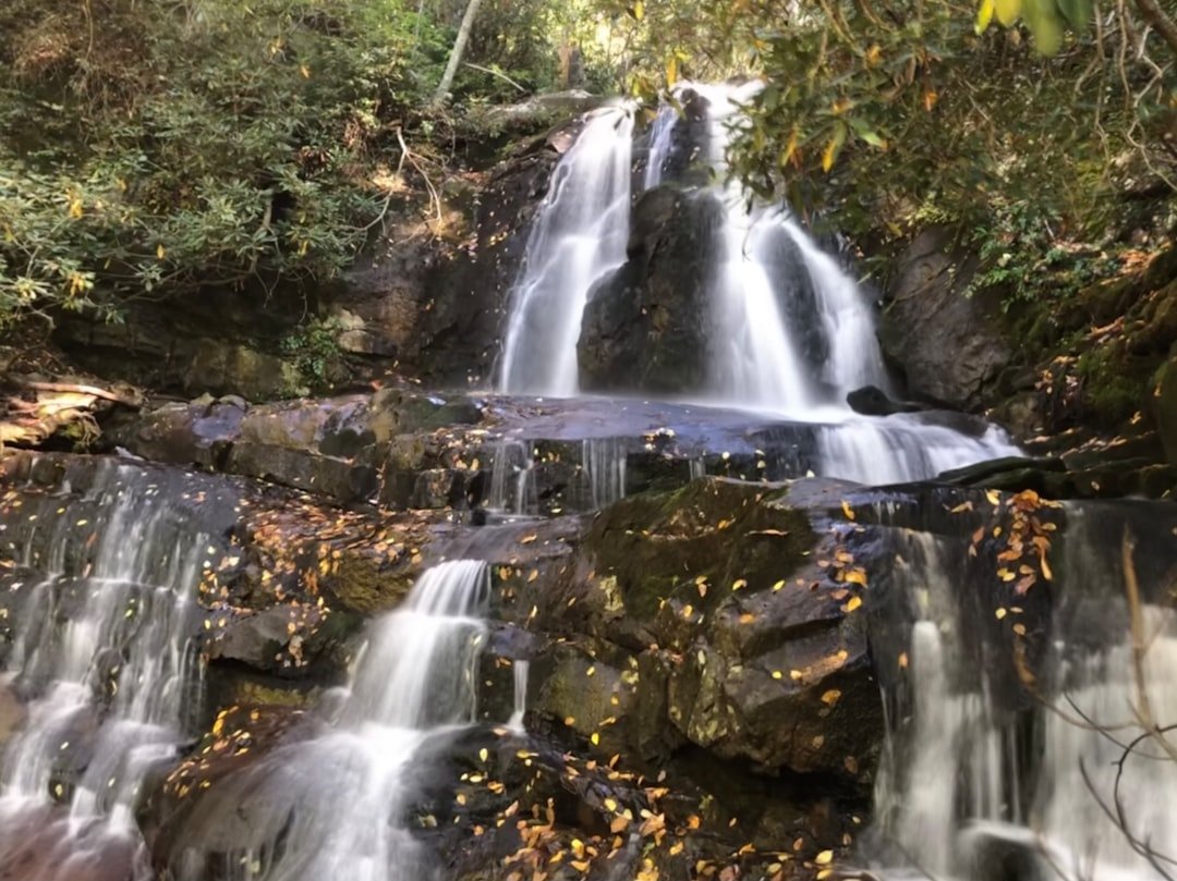 Waterfall cascading through lush green forest in the Smoky Mountains