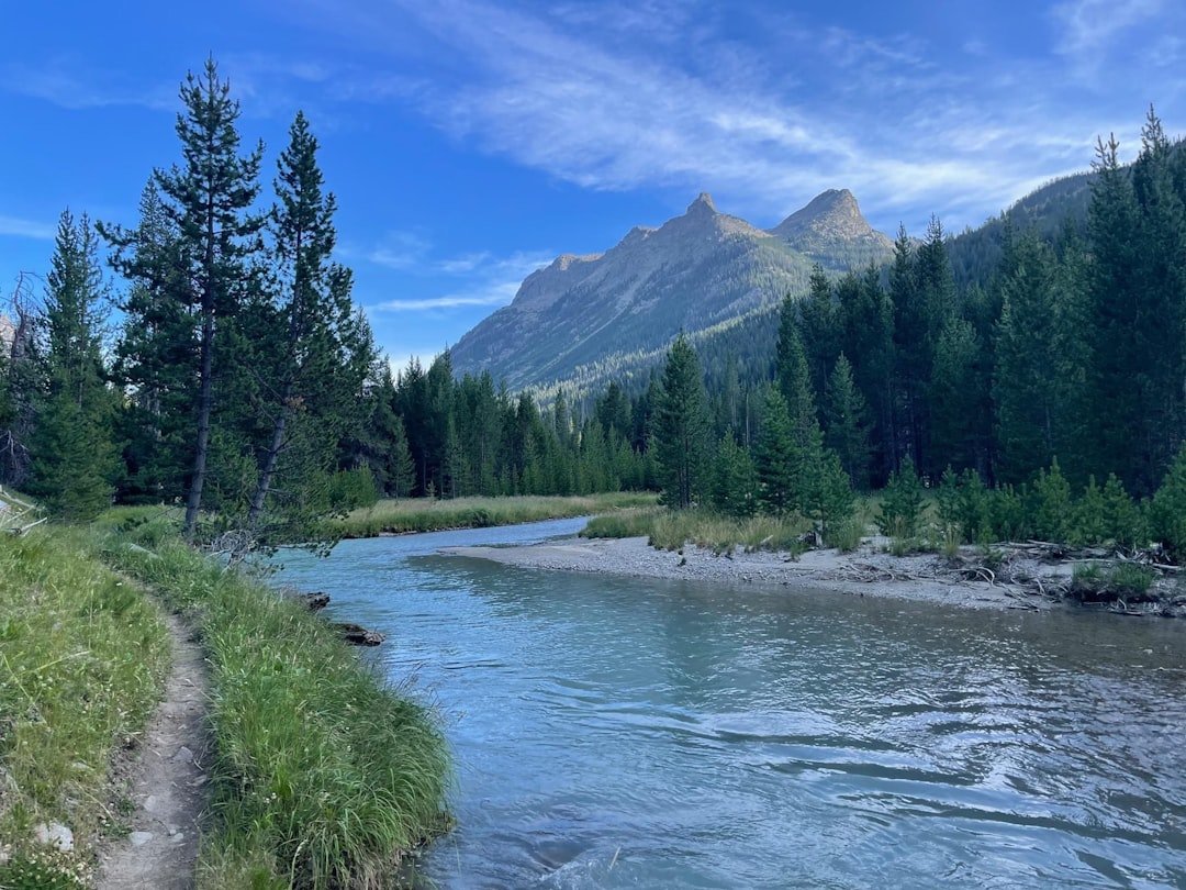 Fly fishing on a mountain river at golden hour