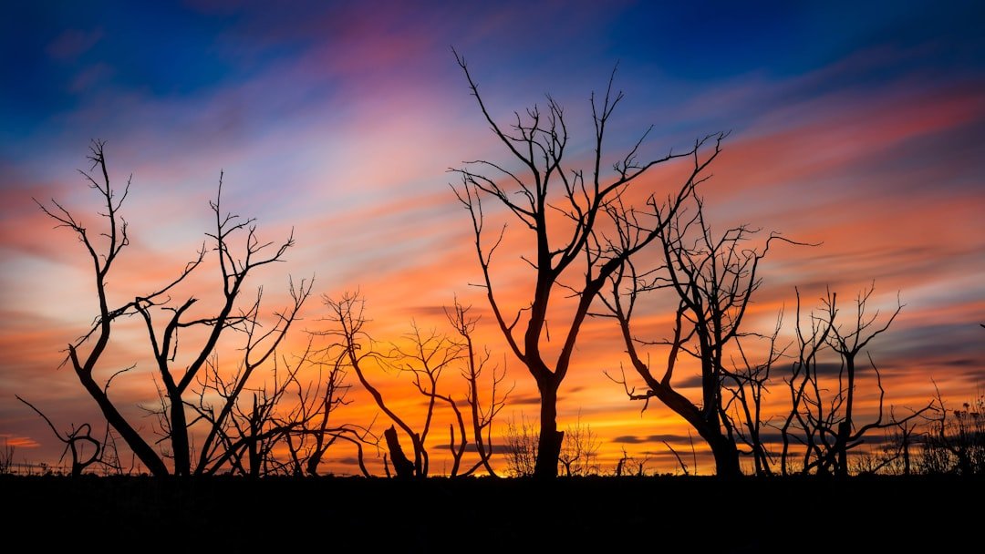 Desert sunset over mesa landscape