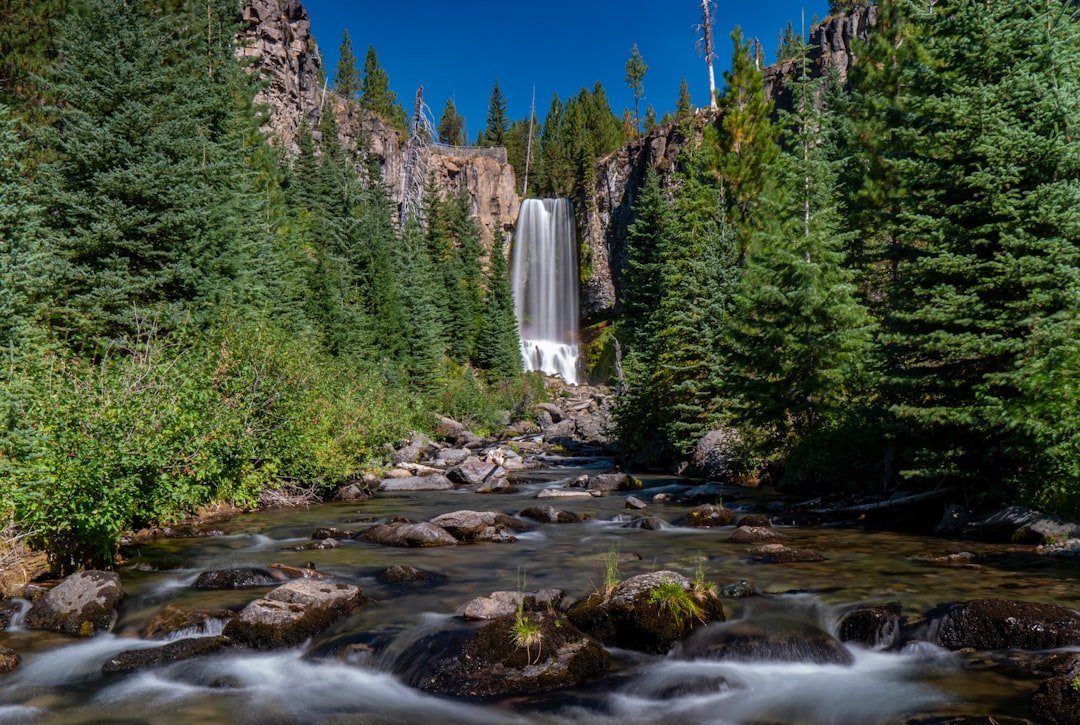 Tumalo Falls cascading through Oregon forest