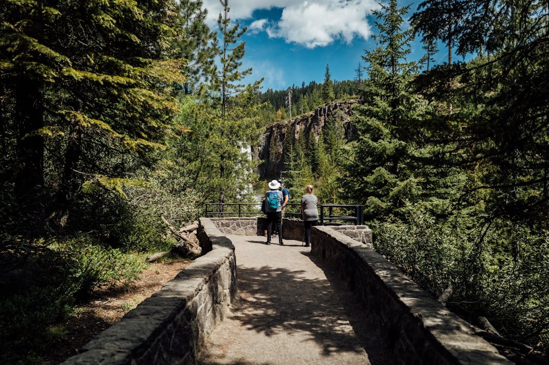 Hiker standing at viewpoint overlooking scenic waterfall landscape