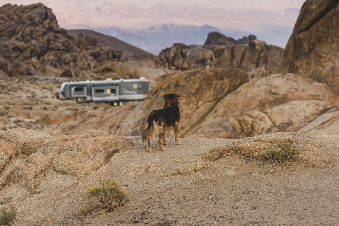 RV boondocking in desert setting