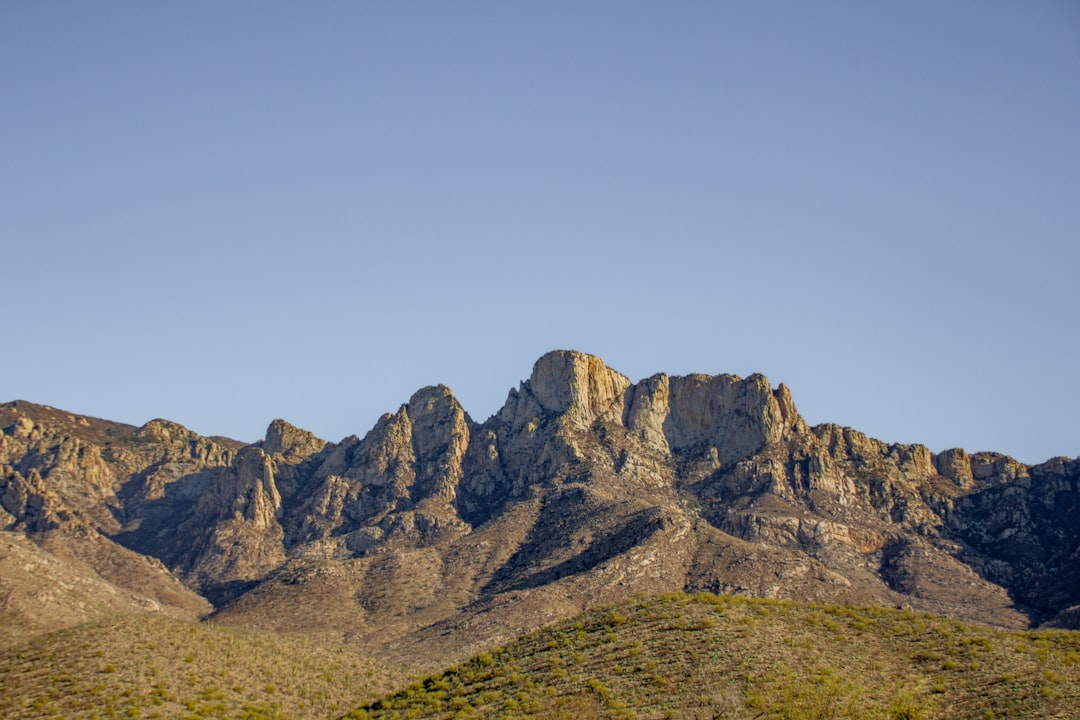 Saguaro cacti at Catalina State Park with Santa Catalina Mountains backdrop