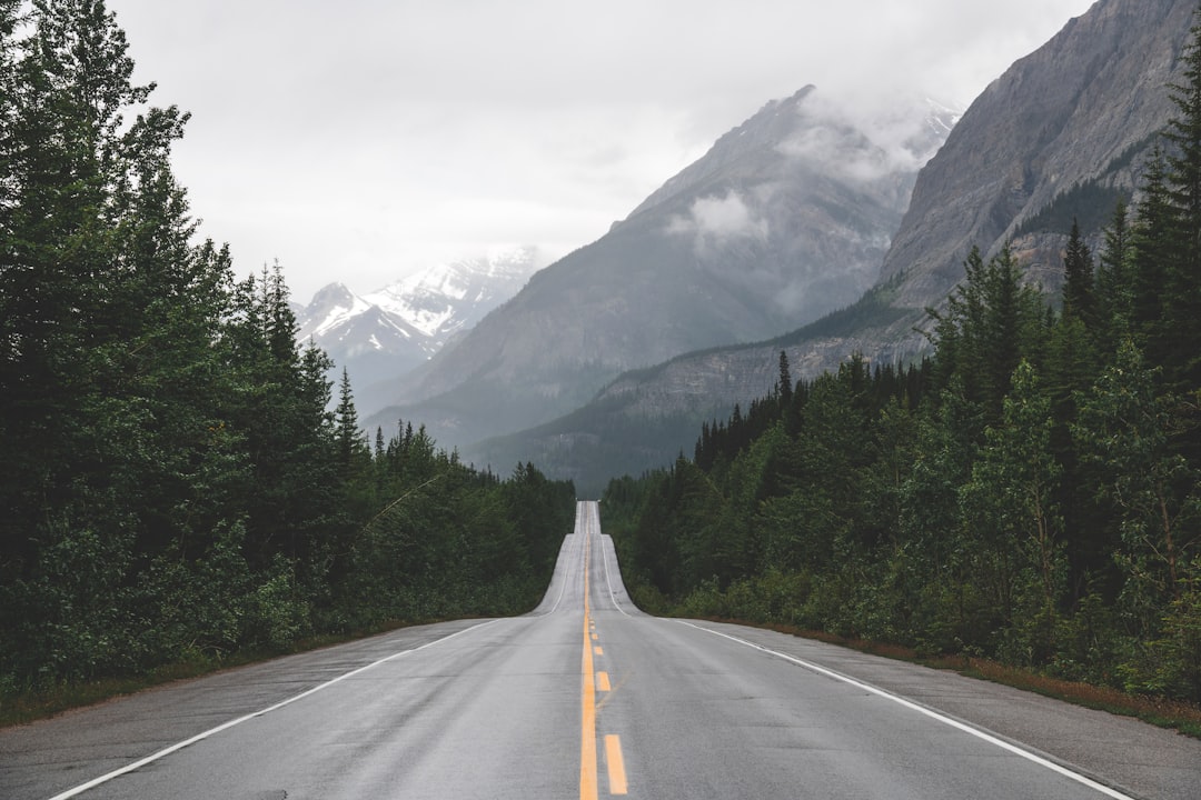 Scenic mountain highway on a road trip