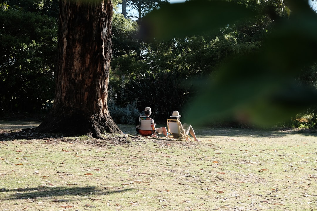 Dog resting comfortably in the shade on a summer day