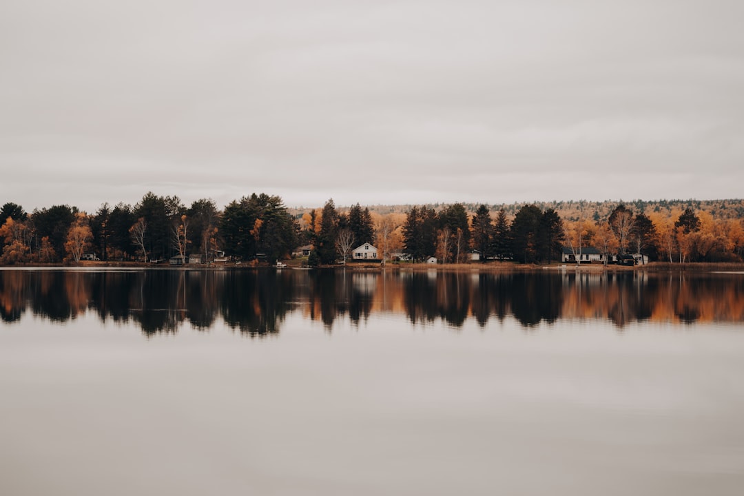 Classic Minnesota lake cabin with boathouse on calm water at golden hour