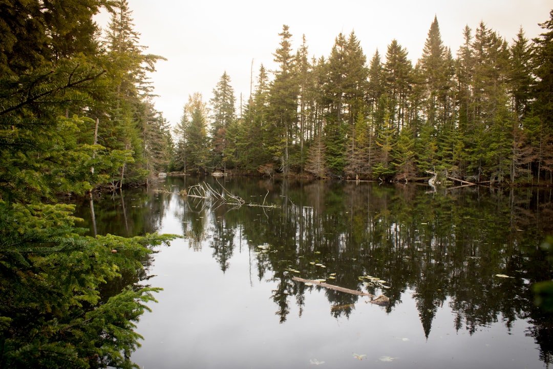 Kayaking on calm pond waters