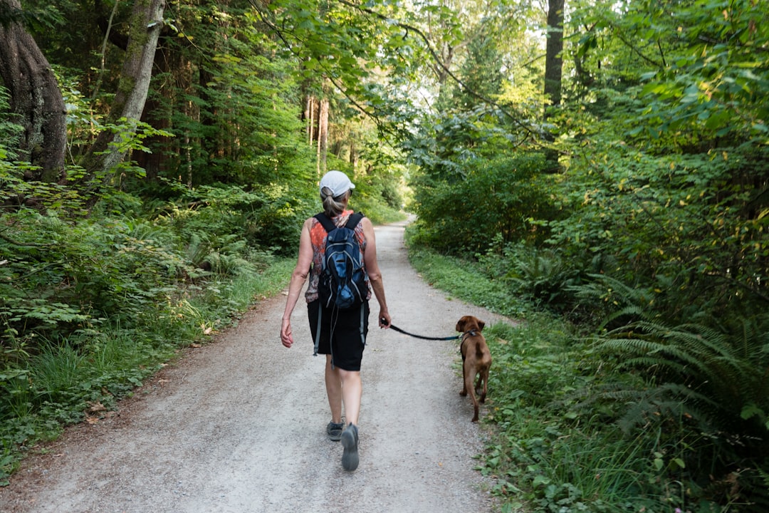 Dog wearing a harness on a hiking trail