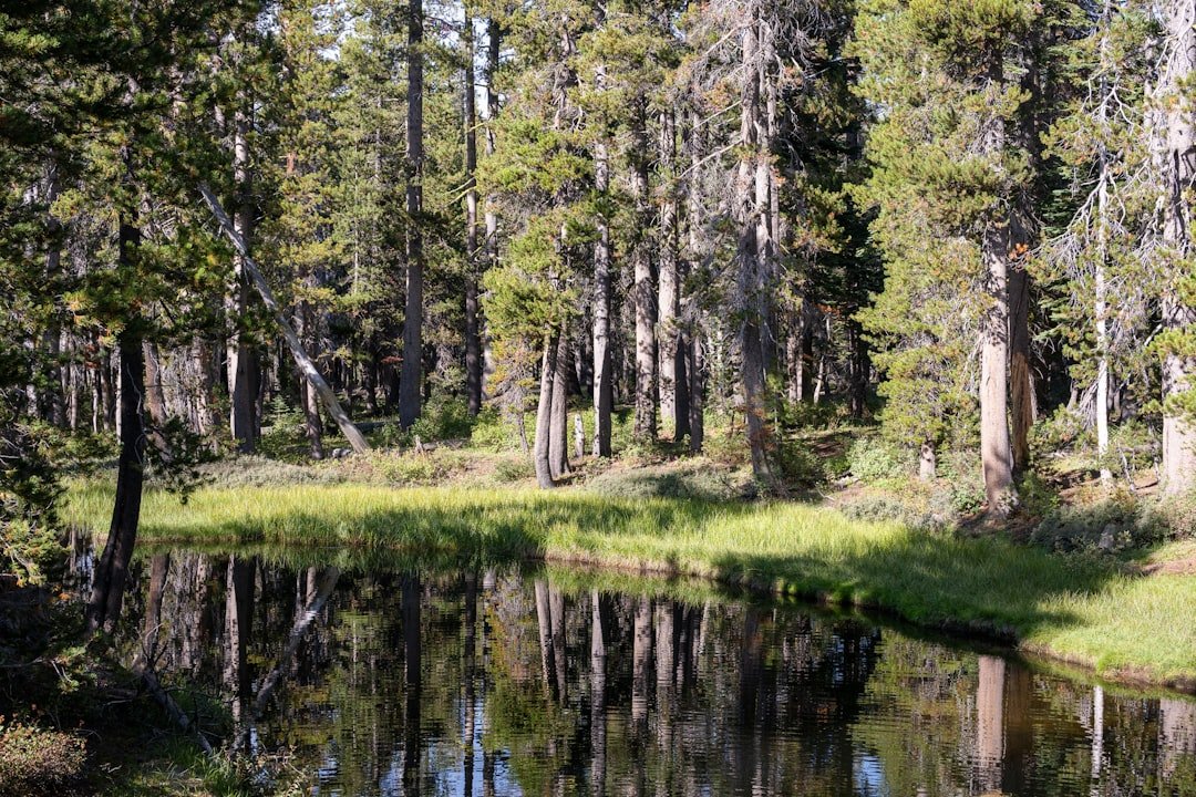 Sierra Nevada mountain lake landscape at golden hour