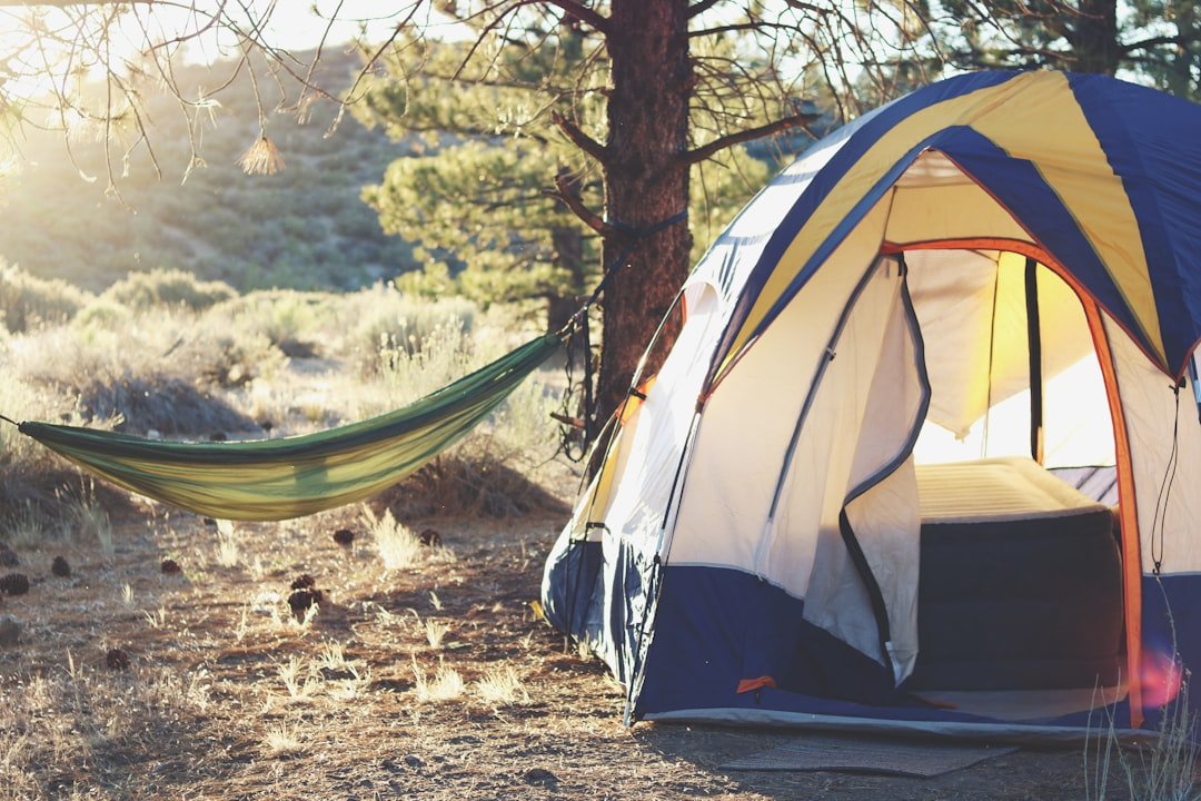 Camping tent set up in a forest clearing