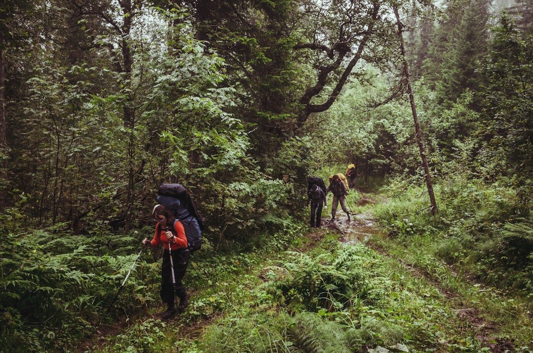 Hiking trail through forest with trekking poles