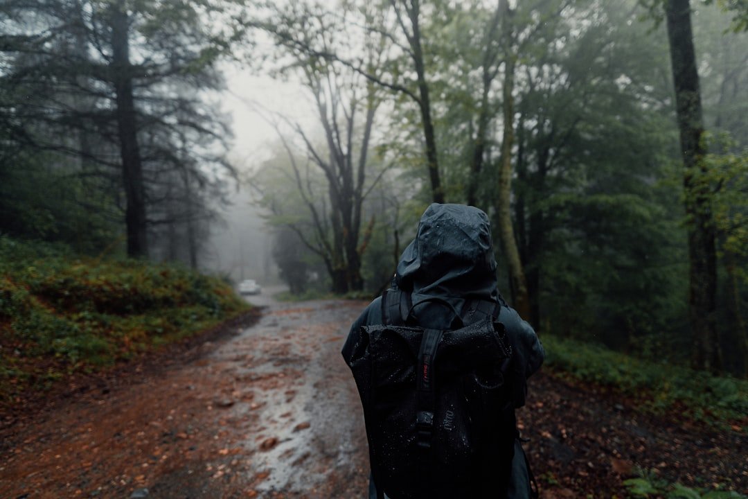 Hiker wearing a rain jacket on a wet trail