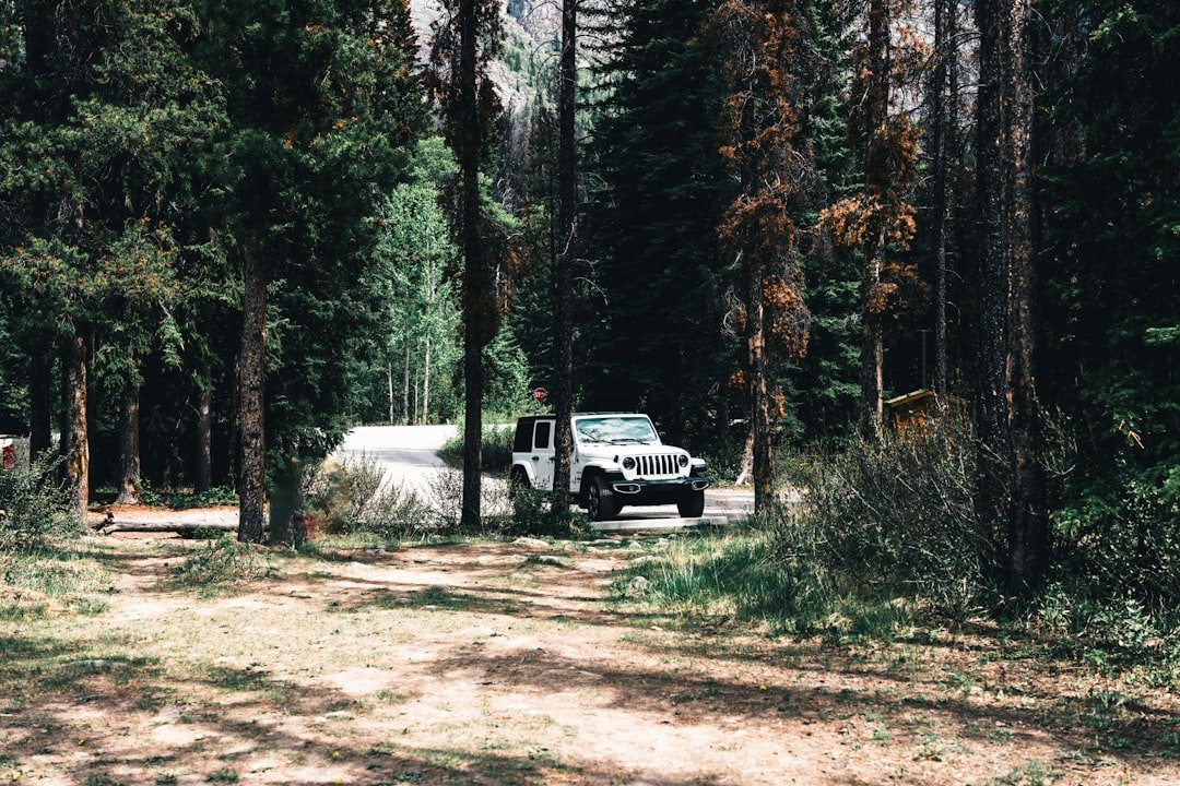Collecting water from a wilderness stream while camping