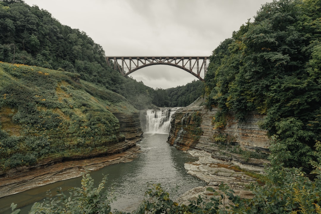 Watkins Glen gorge with waterfalls and mossy stone steps