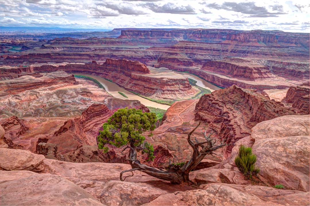 Dead Horse Point overlook showing the Colorado River gooseneck bend