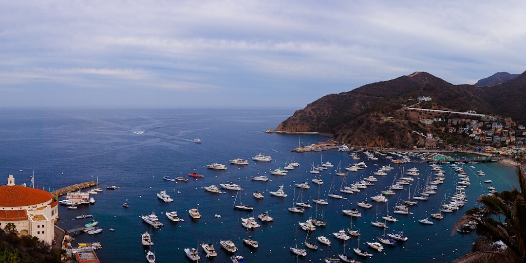 Avalon Bay harbor with boats at mooring