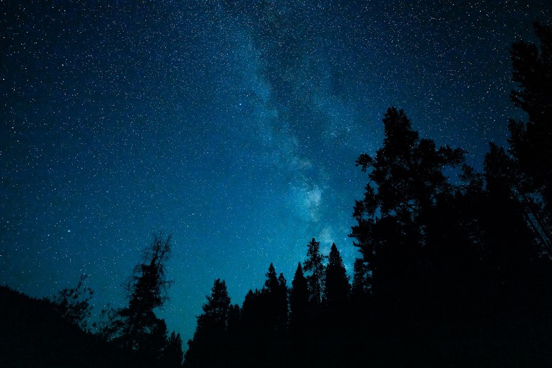 Campfire under starry night sky at off-grid camping location