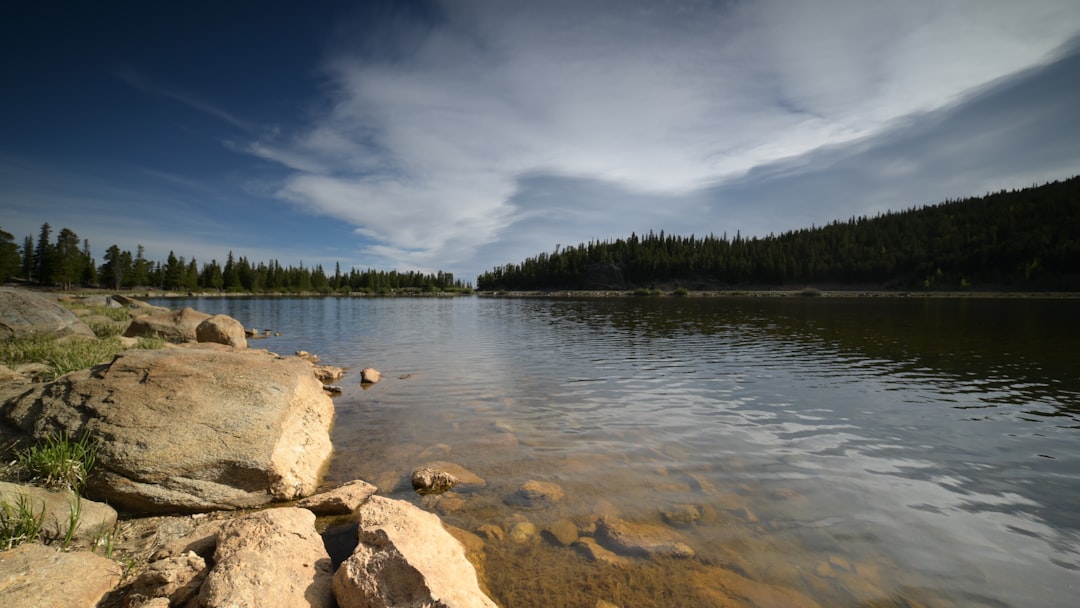 Rocky granite shoreline with pine trees meeting calm lake water