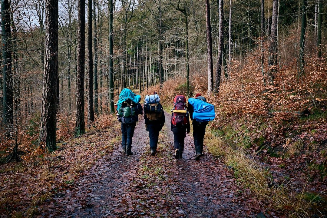 travel backpack on hiking trail