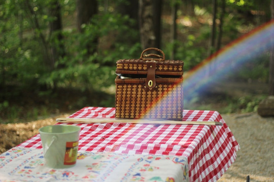 Insulated cooler bag with picnic lunch