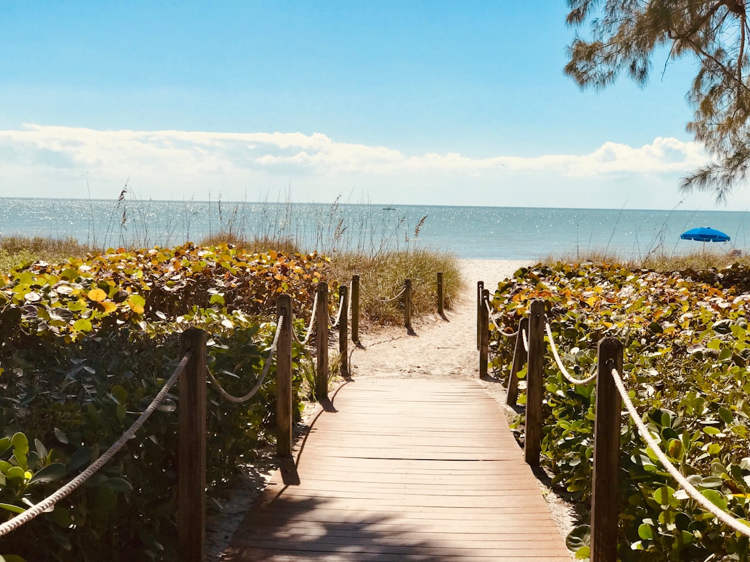 Riverfront boardwalk along a Florida river with palm trees