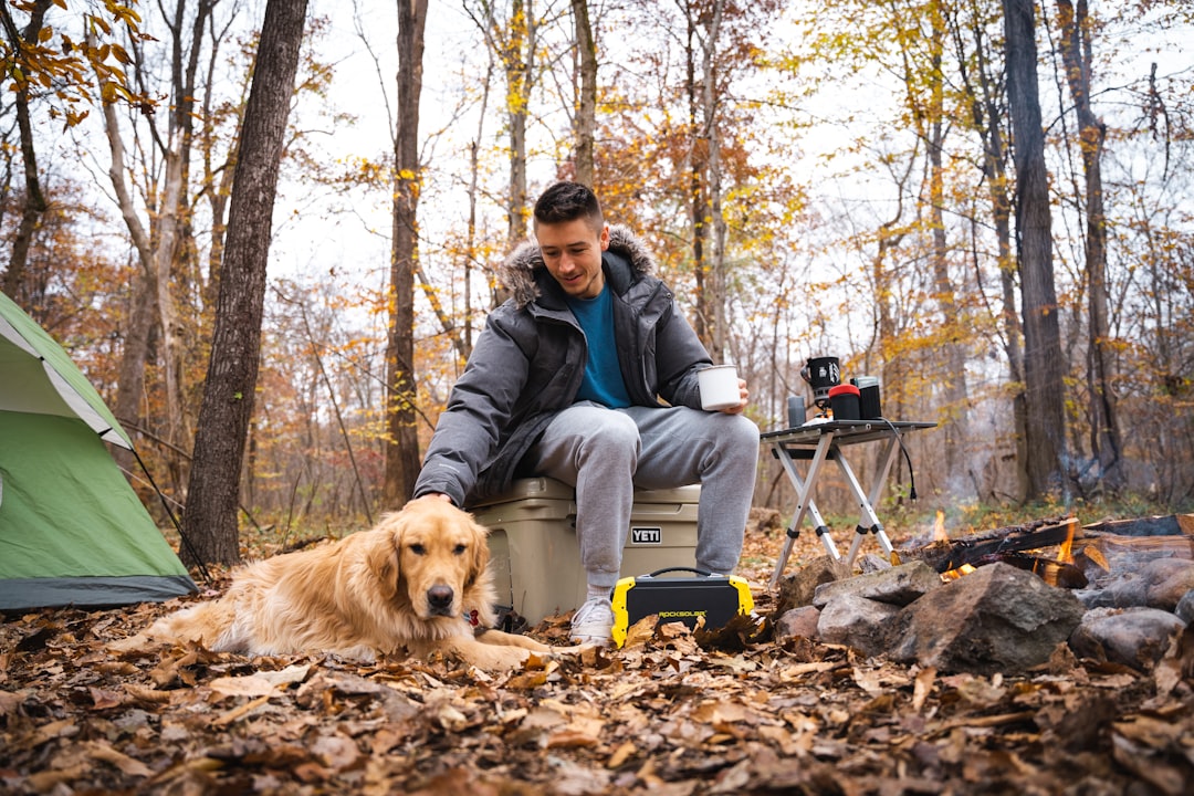 Portable power station set up at a campsite