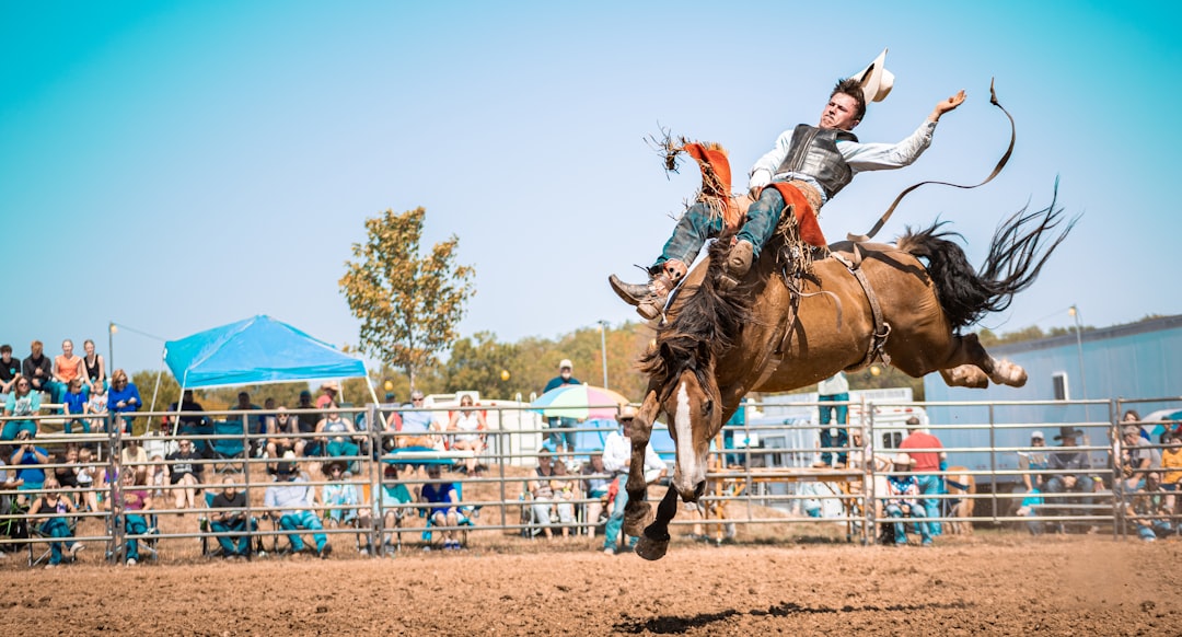 Rodeo bull riding at a western state fair