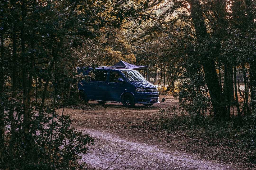 Van parked under shade trees at a campsite