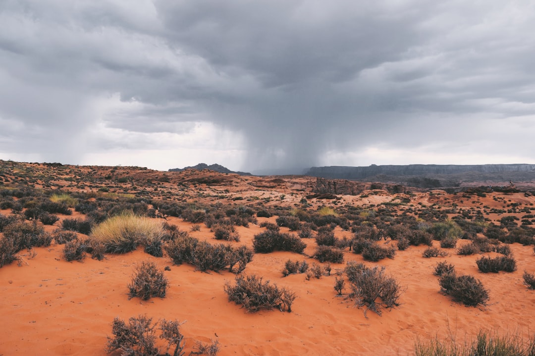 Dramatic monsoon thunderstorm building over the Arizona desert