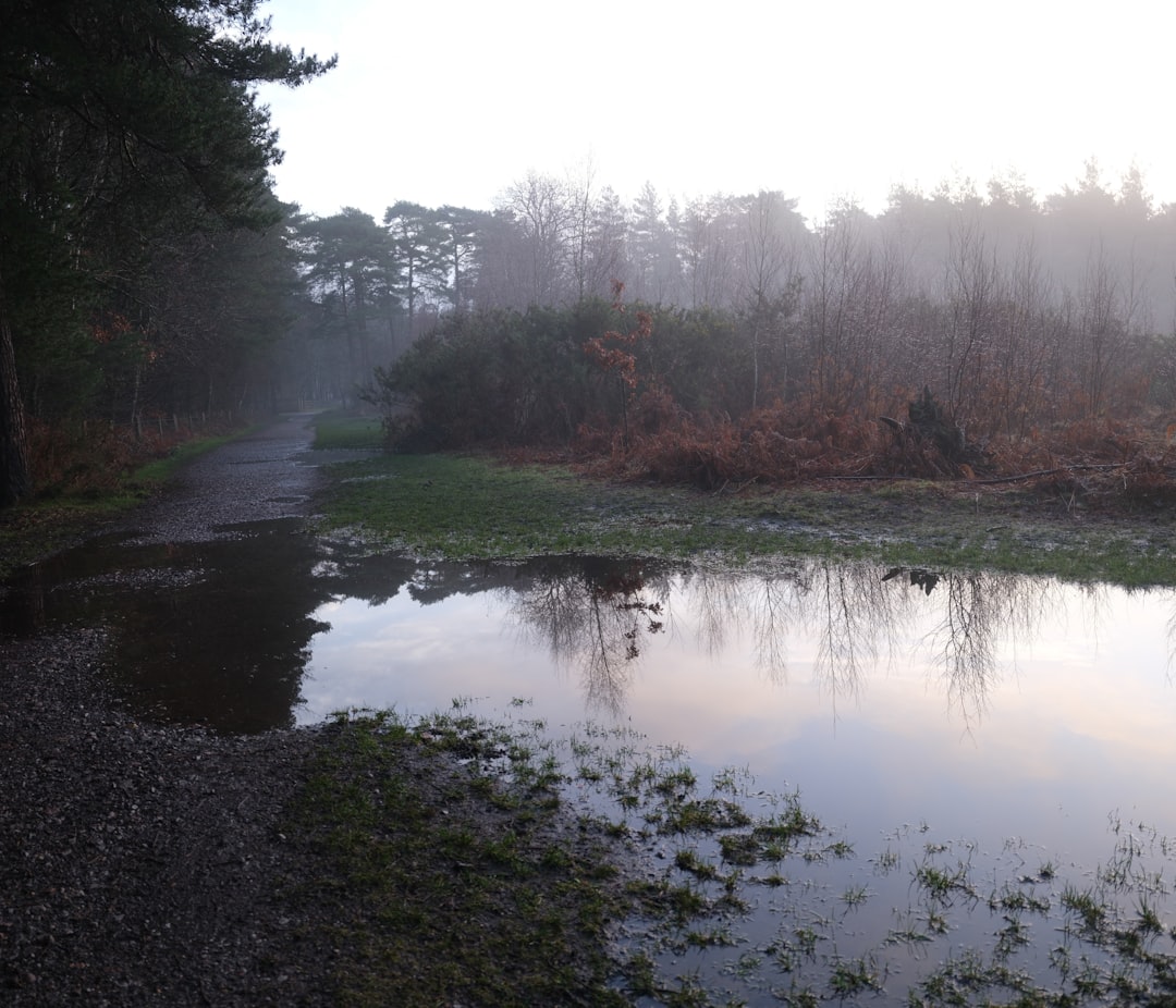 Wet misty hiking trail through a forest