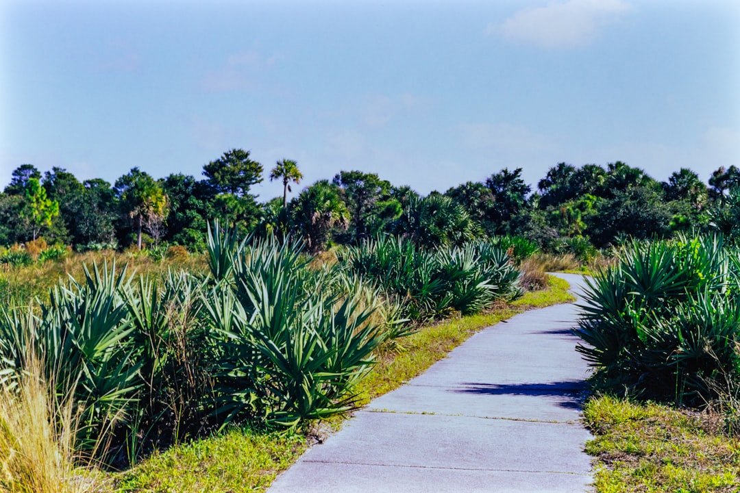 Nature trail opening in Cape Coral Florida