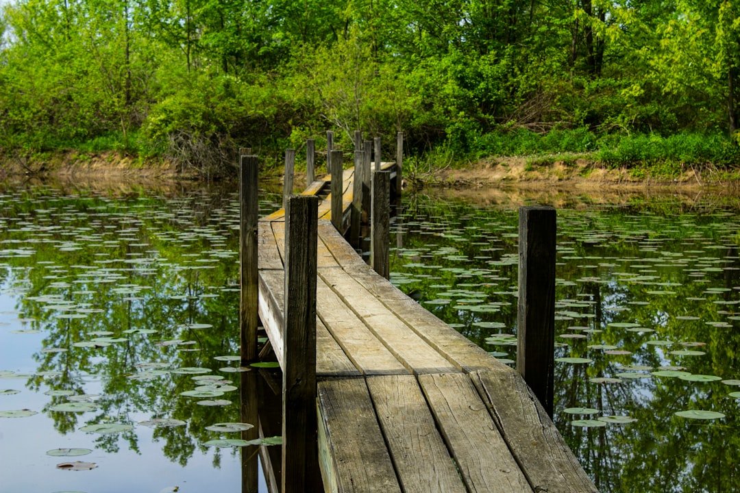Wooden boardwalk path through nature preserve
