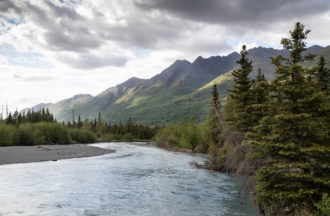 Alaska salmon fishing on the Kenai River