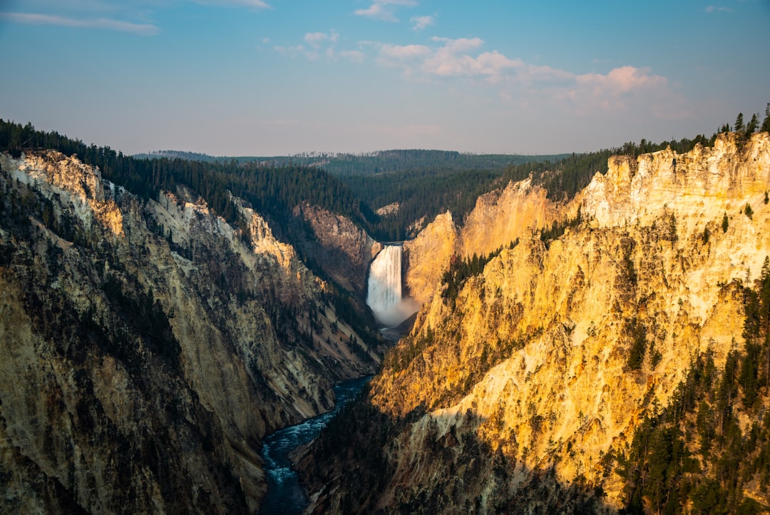 Lower Yellowstone Falls flowing through the canyon in golden autumn light