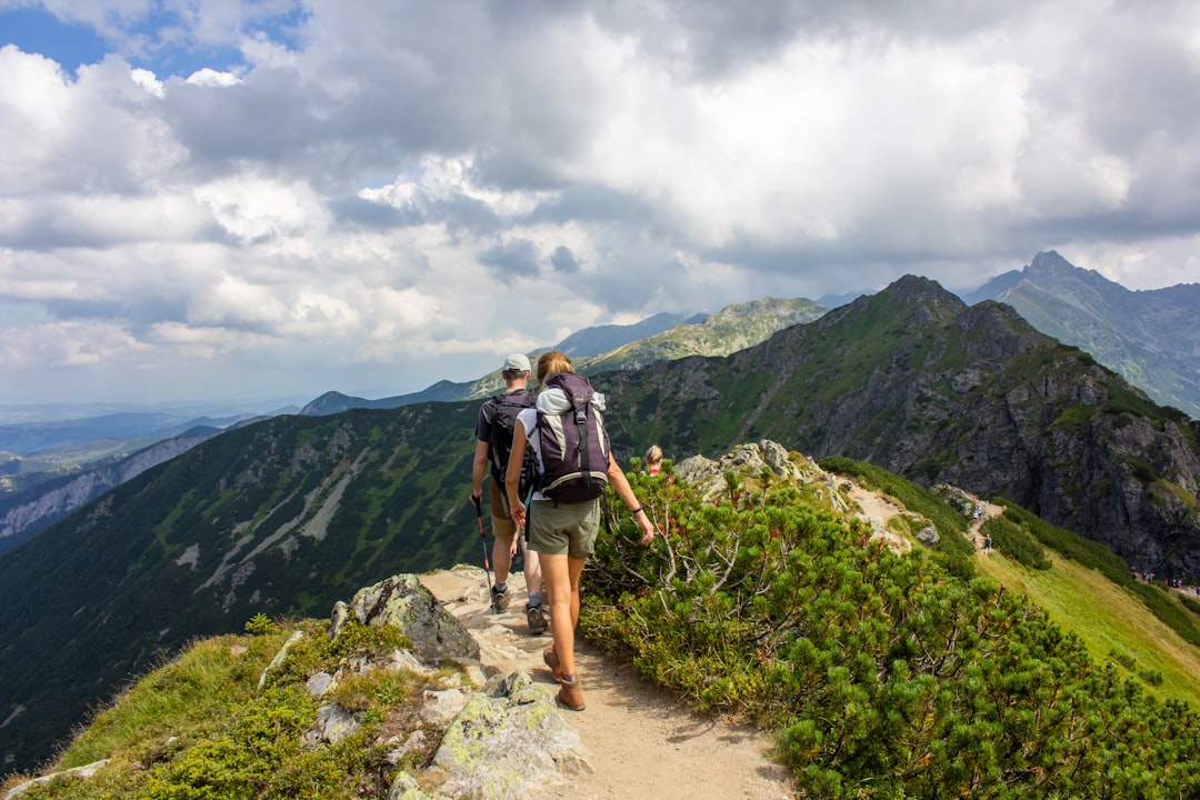 Hiking trail through alpine meadows in Glacier National Park