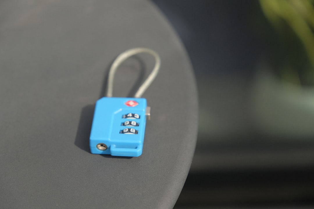 TSA-approved cable luggage lock securing a bag during travel