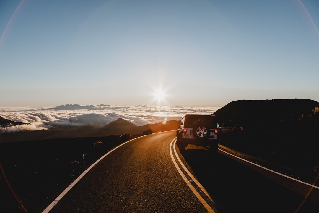 Scenic road stretching into the distance on a clear morning