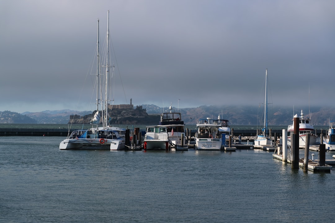 Boats at harbor preparing for departure