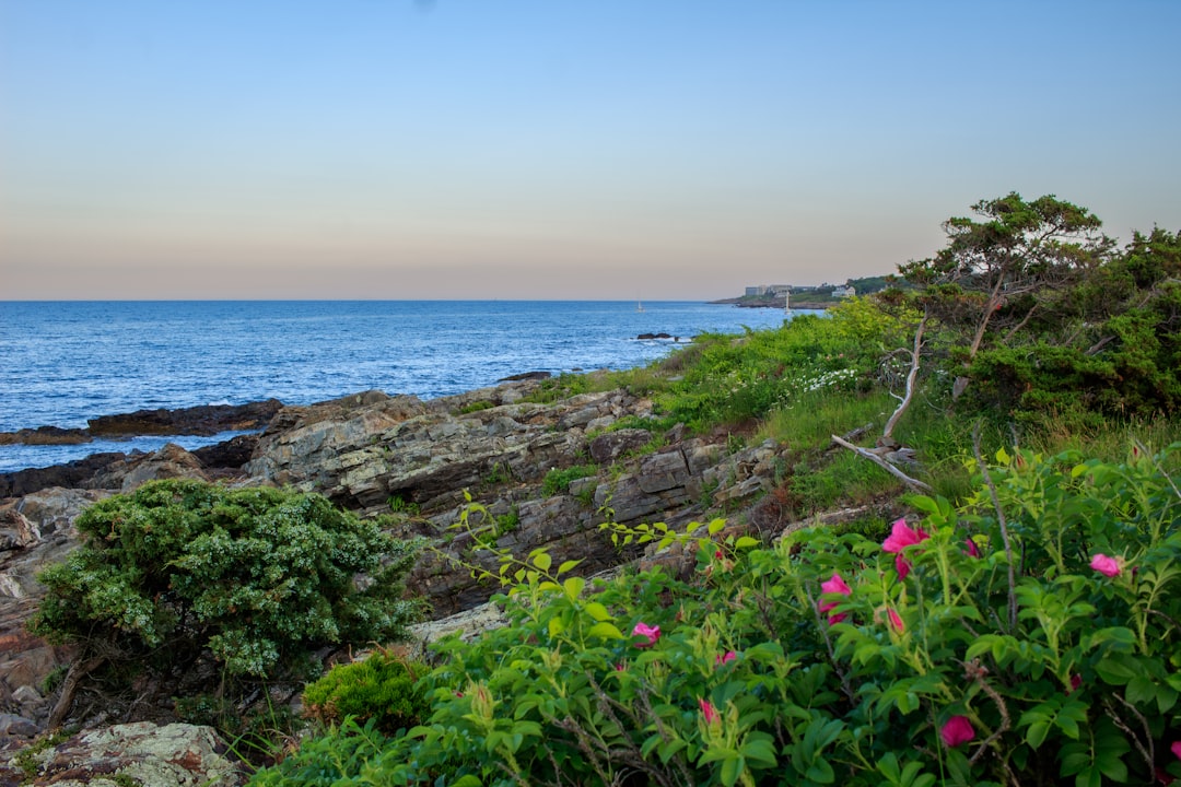 Marginal Way cliff walk with ocean views along the Maine coast