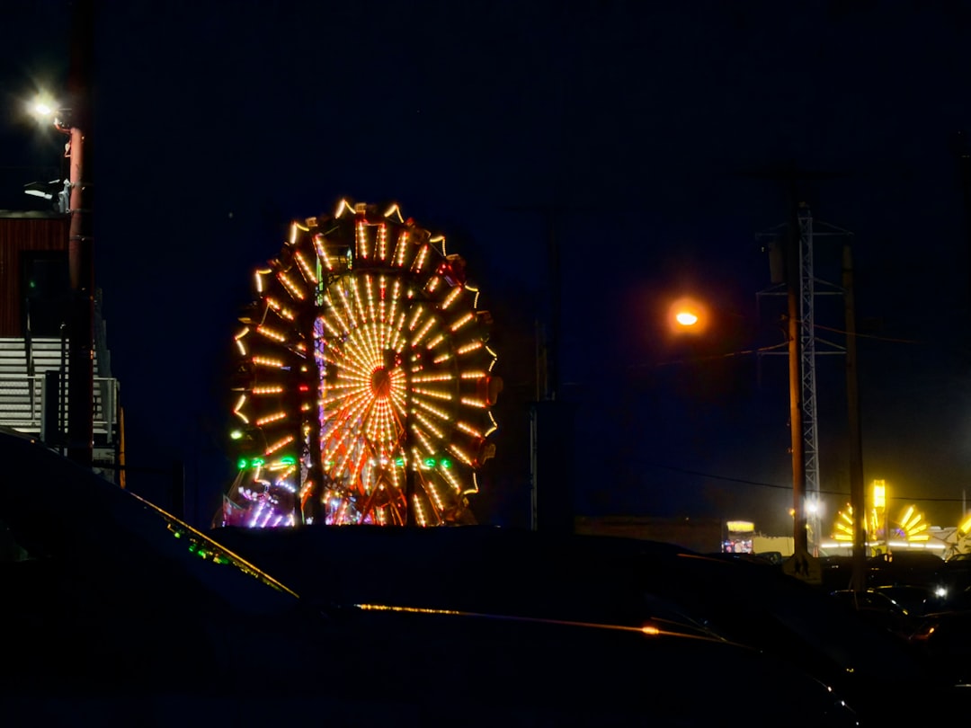 State fair ferris wheel lit up at night