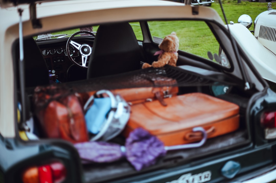 Packed luggage in car trunk during road trip