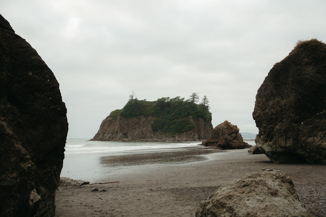 Rialto Beach sea stacks and driftwood at Olympic National Park