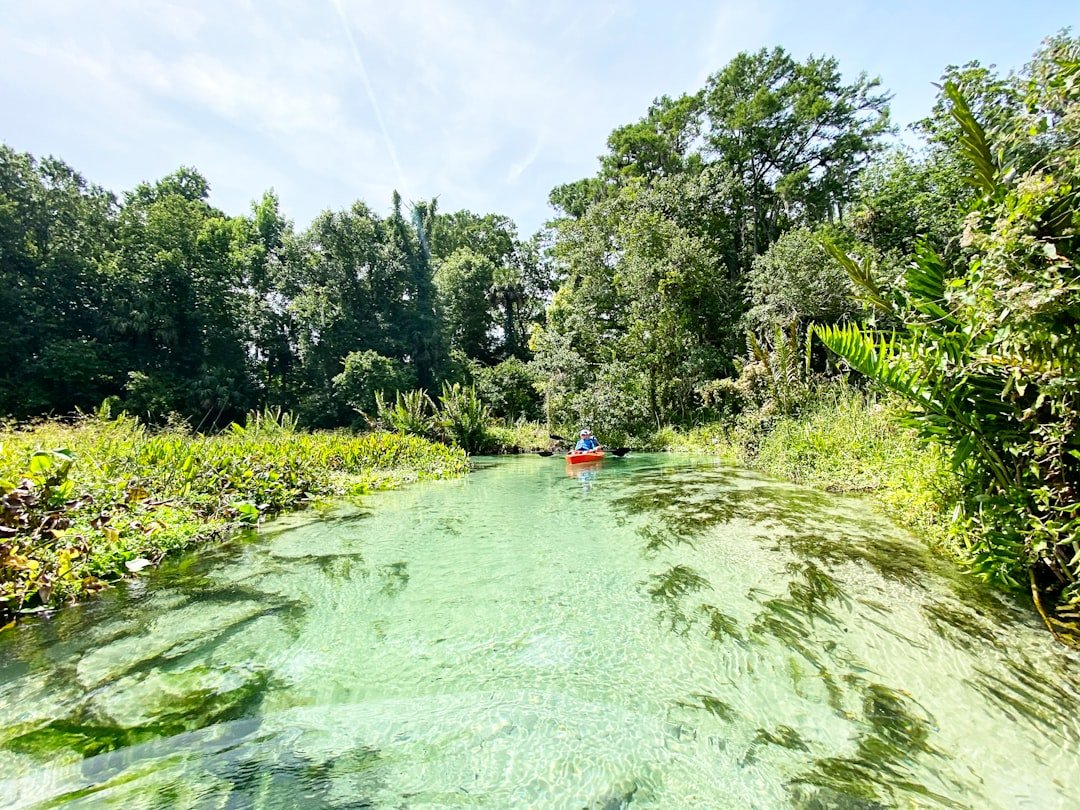 Kayaking through Florida mangrove waterways