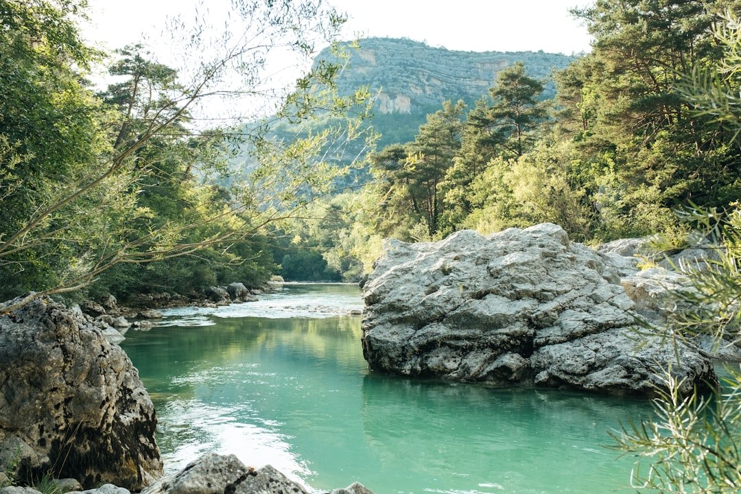 Kayaks and a canoe resting at a gravel bar along a forested riverbank