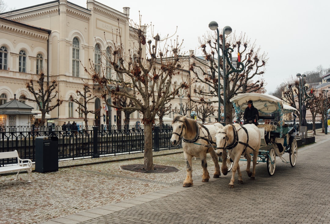 Horse-drawn carriage on a historic island street